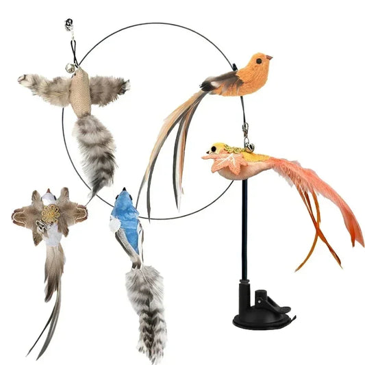 Peacock Feather Cat Teaser